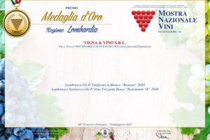 Medaglia-d'oro-Vigna-&-Vino-2021